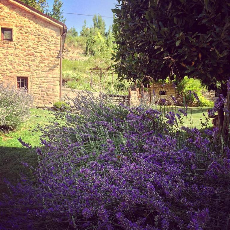 Ca' Maranghi Holiday House Palazzuolo Sul Senio Exterior foto